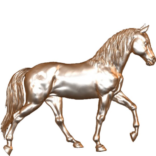 Gaited Horse