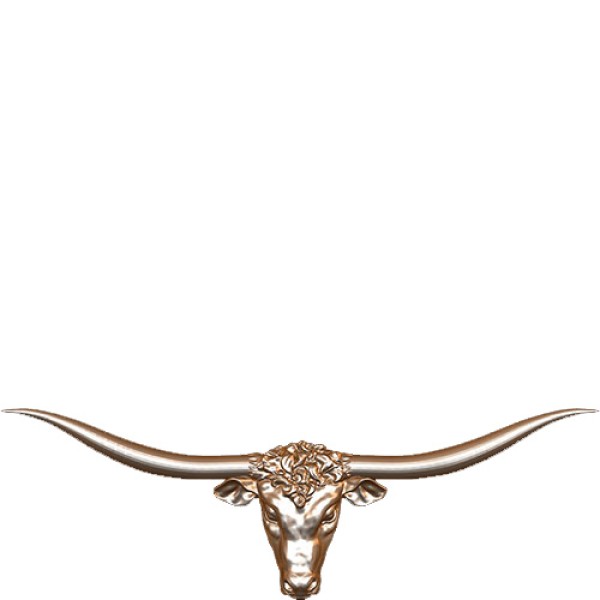 Longhorn Steer