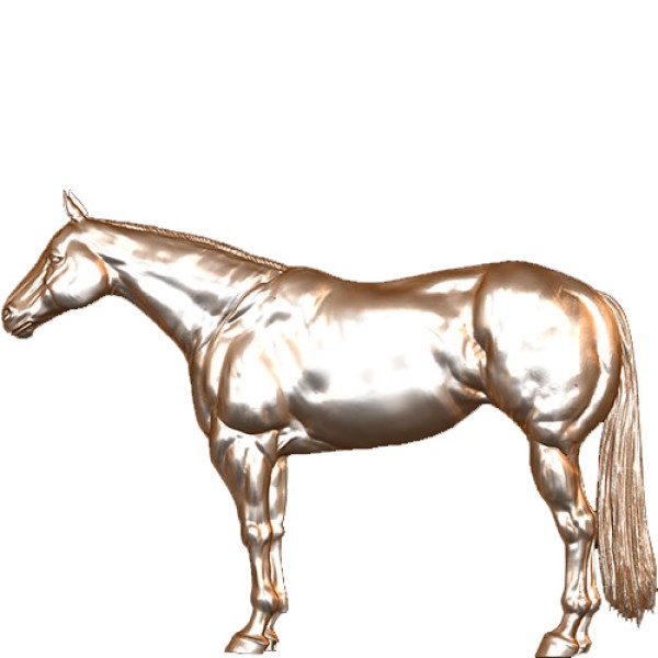 Standing Horse